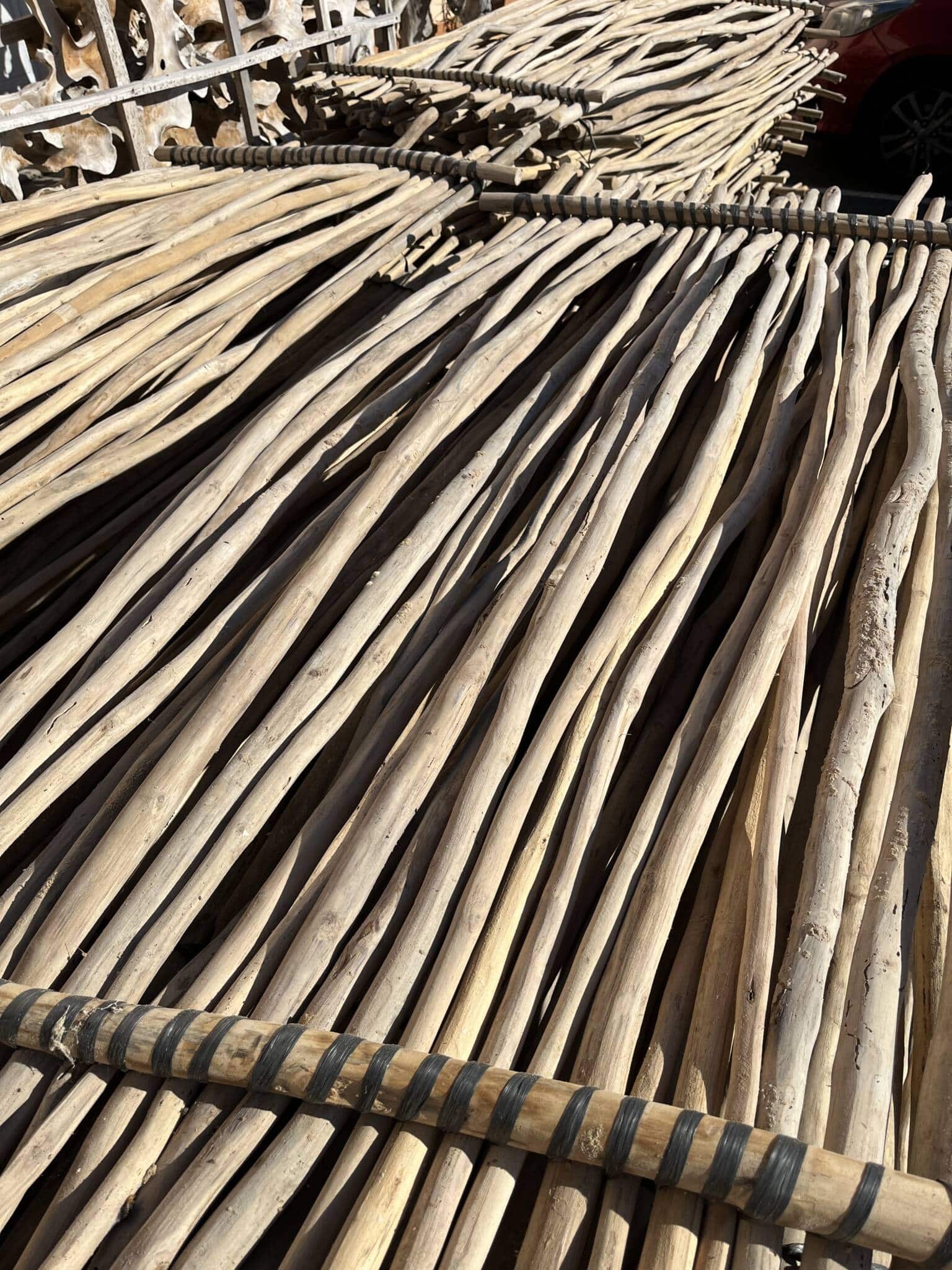 Branches de bois flotté en Teck