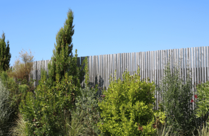 quel type de bois choisir pour une clôture